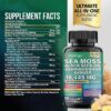GlowVigor Sea Moss 7000mg Black Seed Oil 4000mg Ashwagandha 2000mg Turmeric 2000mg Bladderwrack 2000mg Burdock 2000mg & Ginger Vitamin C Vitamin D3
