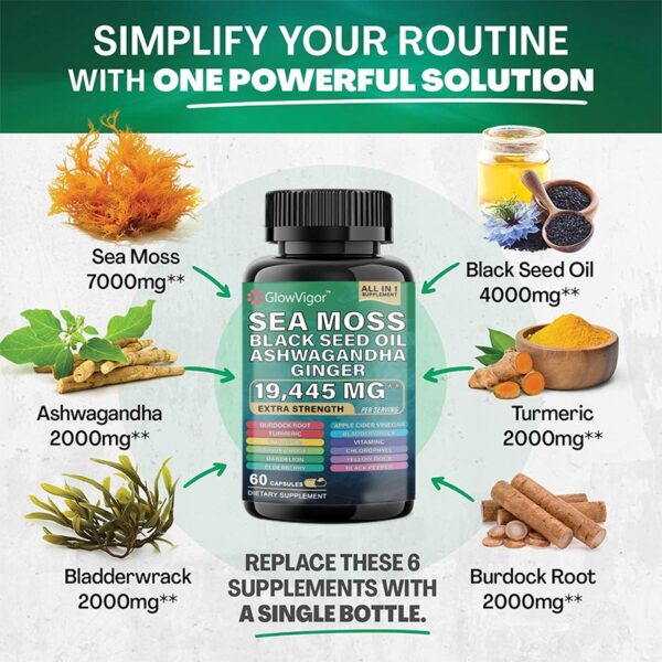 GlowVigor Sea Moss 7000mg Black Seed Oil 4000mg Ashwagandha 2000mg Turmeric 2000mg Bladderwrack 2000mg Burdock 2000mg & Ginger Vitamin C Vitamin D3 - Image 5